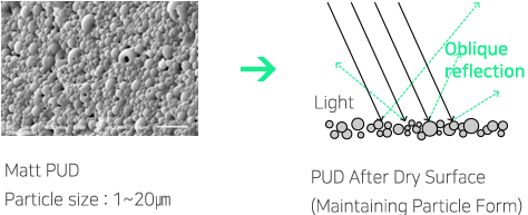 무광 PUD Particle size : 1~20㎛ VS 무광 PUD 건조 후 표면 (입자 형태 유지)